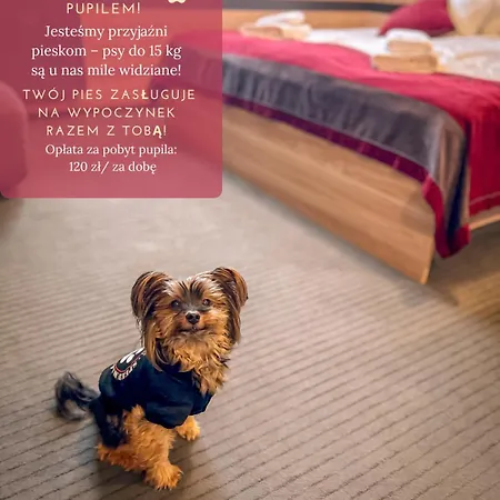 Winterpol Oda ve Kahvaltı Karpacz