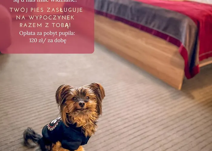 Winterpol Nocleg ze śniadaniem Karpacz